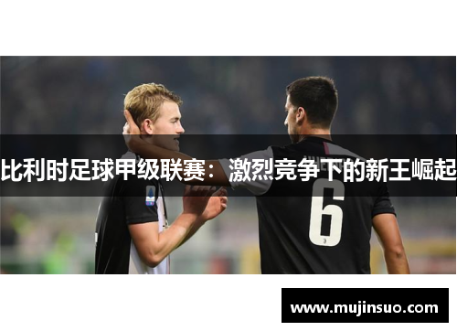 比利时足球甲级联赛：激烈竞争下的新王崛起