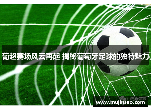 葡超赛场风云再起 揭秘葡萄牙足球的独特魅力