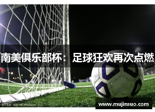 南美俱乐部杯：足球狂欢再次点燃